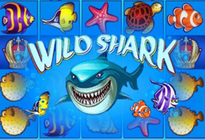 Wild Shark slot for real money