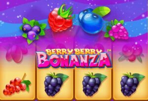 Berry Berry Bonanza slot