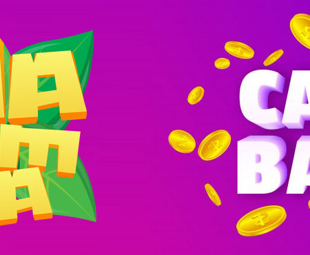 Enjoy a 25% Live Cashback with Wazamba Casino