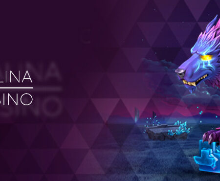 MalinaCasino Top Provider Promotion — February 2022