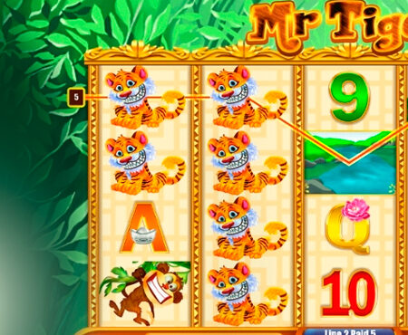 Mr Tiger slot for real money by August Gaming