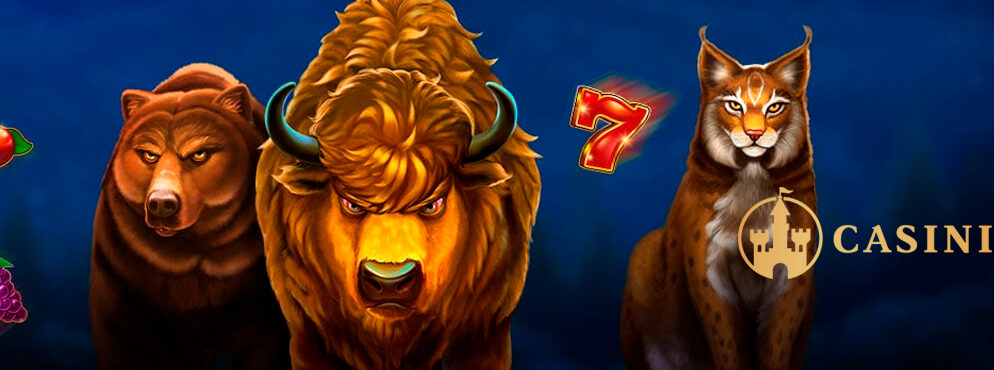 January Thrills Tournament (Casinia Casino)