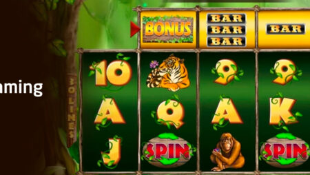 Jungle slot for real money by KA Gaming
