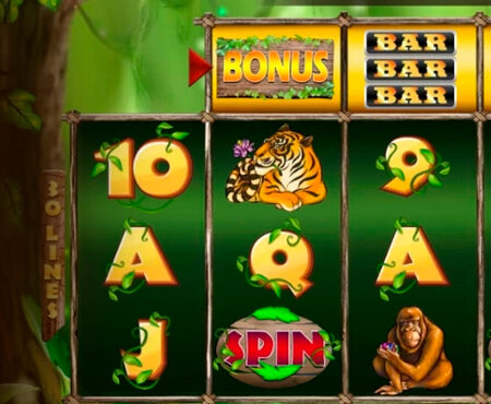 Jungle slot for real money by KA Gaming