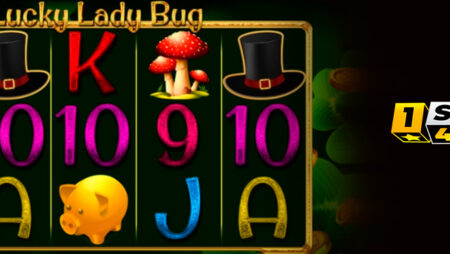 Lucky Lady Bug slot for real money by 1Spin4Win