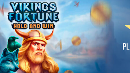 Viking slot for real money by PlayStar